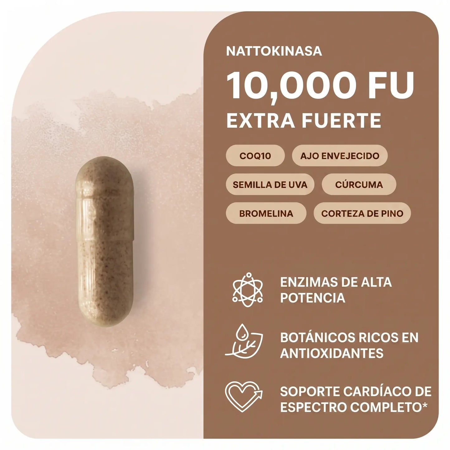 Suplemento natural nattokinase-Apoya el bienestar cardiovascular-30% OFF
